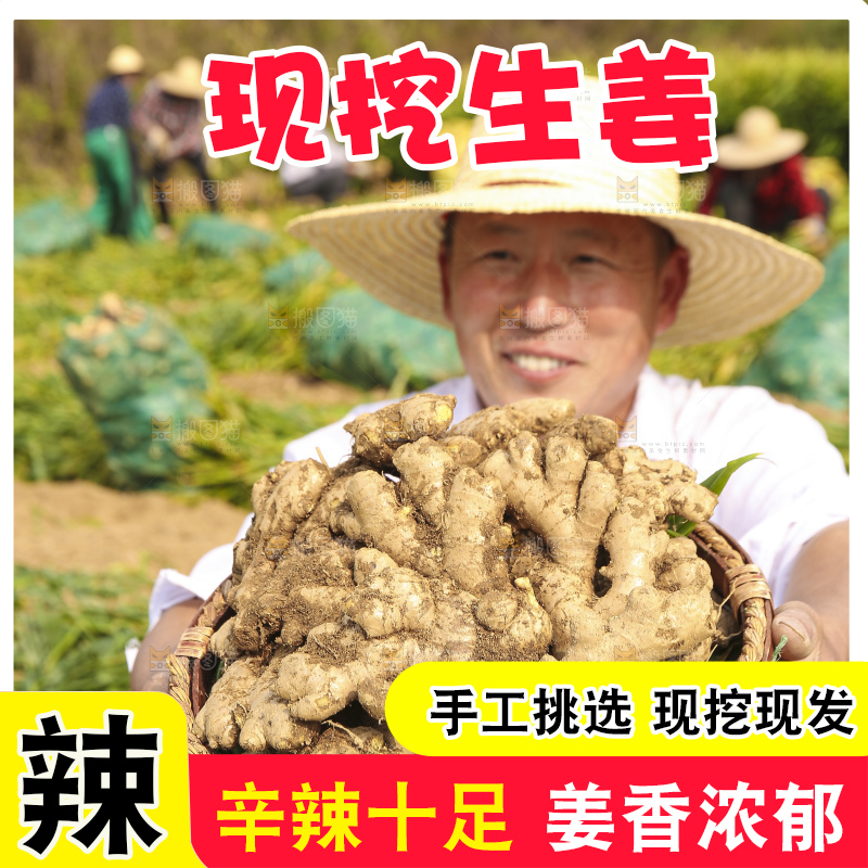手里拿着新鲜生姜