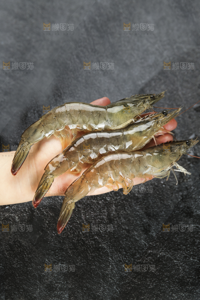 手里拿着青岛大虾