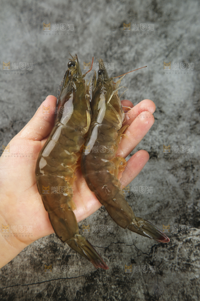 手里拿着青岛大虾