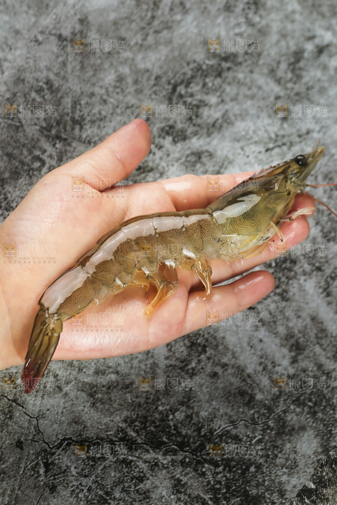手里拿着青岛大虾