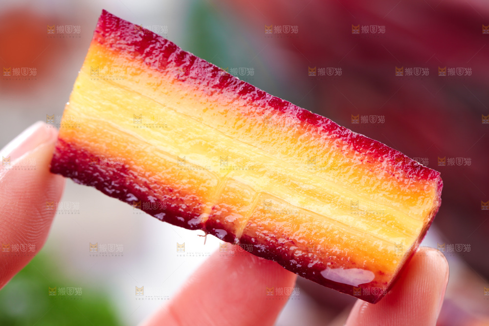 浅底上的紫胡萝卜