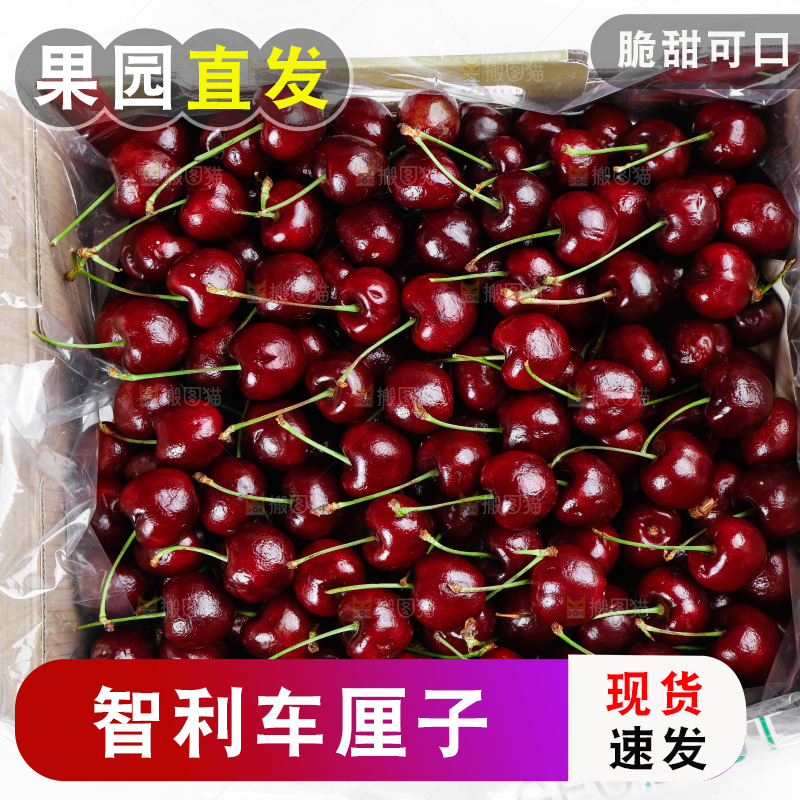 白底上的车厘子