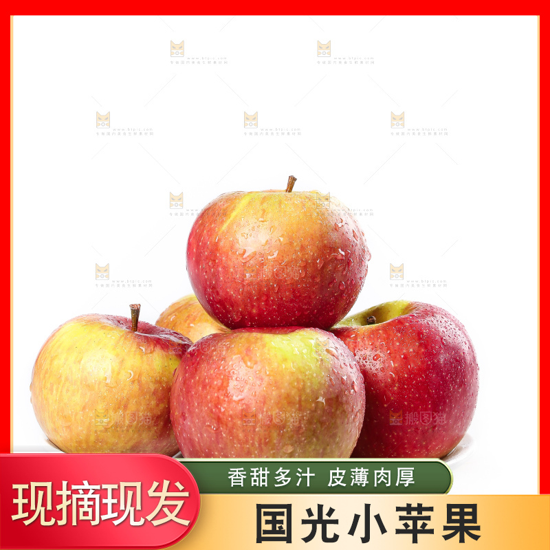 白底上的国光苹果