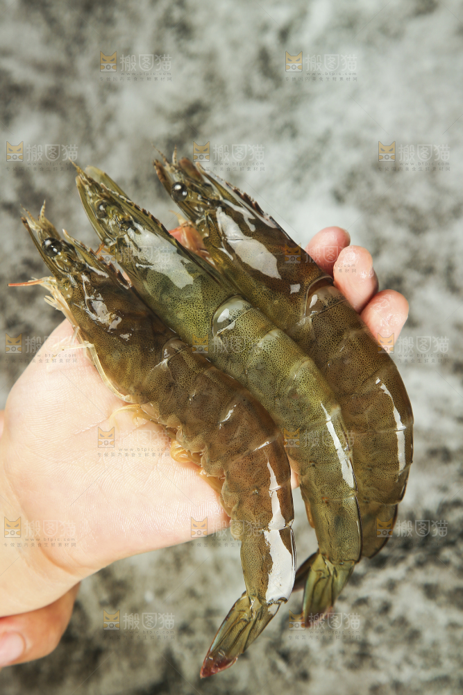 手里拿着青岛大虾