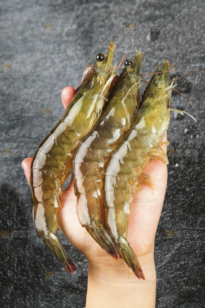手里拿着青岛大虾