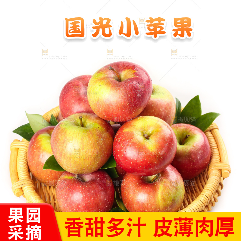白底上的国光苹果