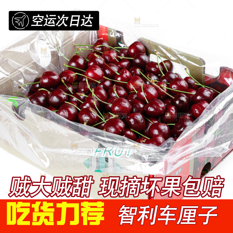 白底上的车厘子