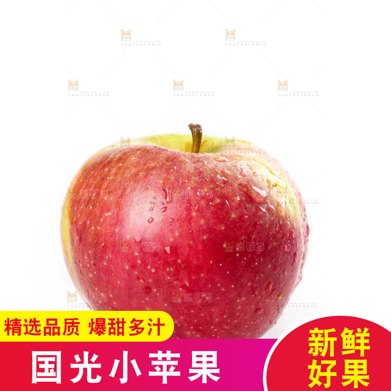 白底上的国光苹果