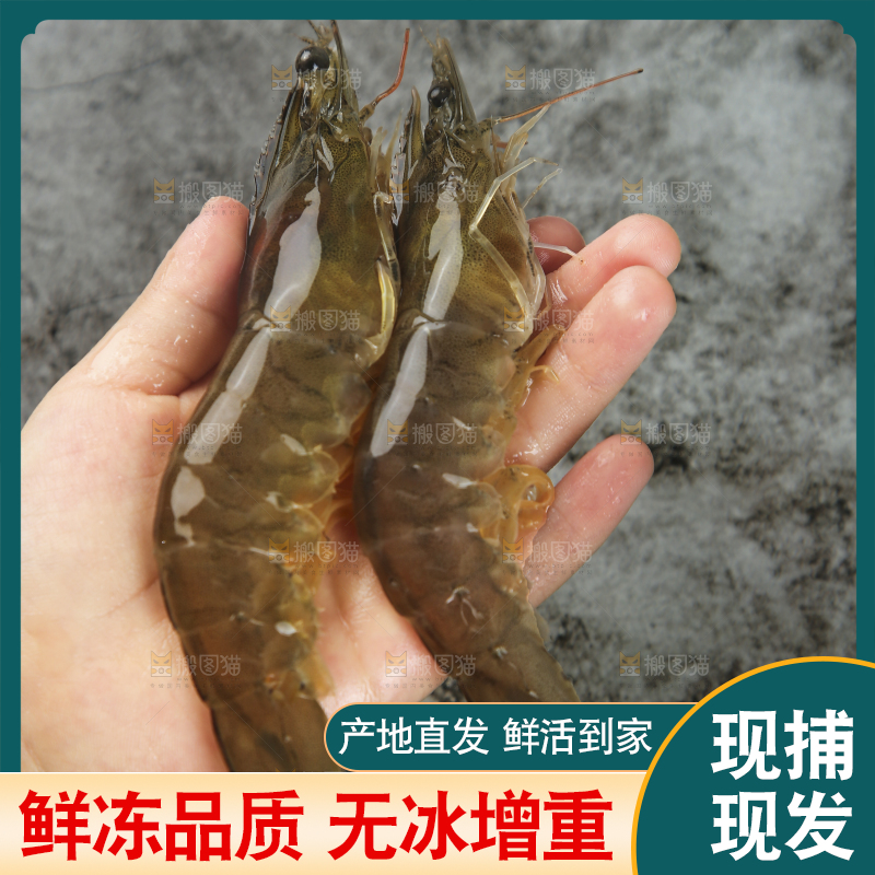 手里拿着青岛大虾