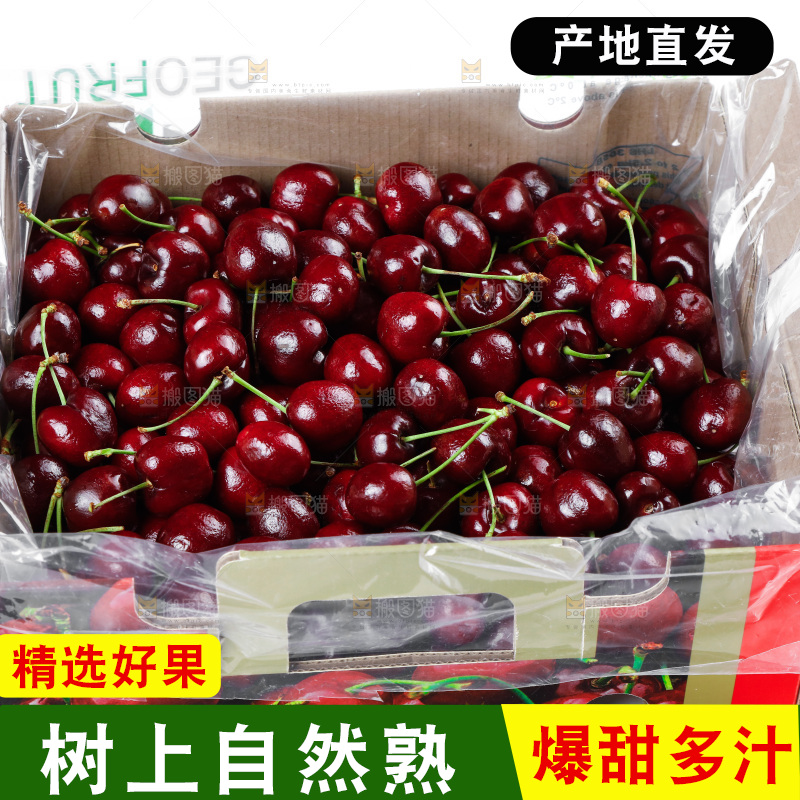 白底上的车厘子