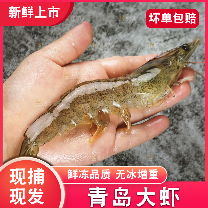 手里拿着青岛大虾