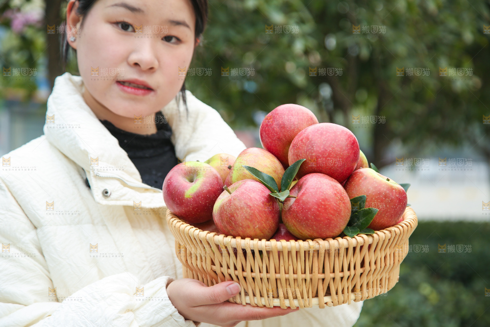 手里拿着国光苹果