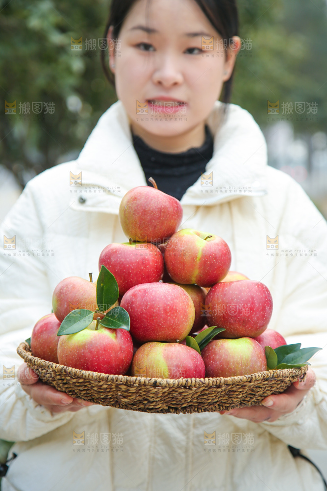 手里拿着国光苹果