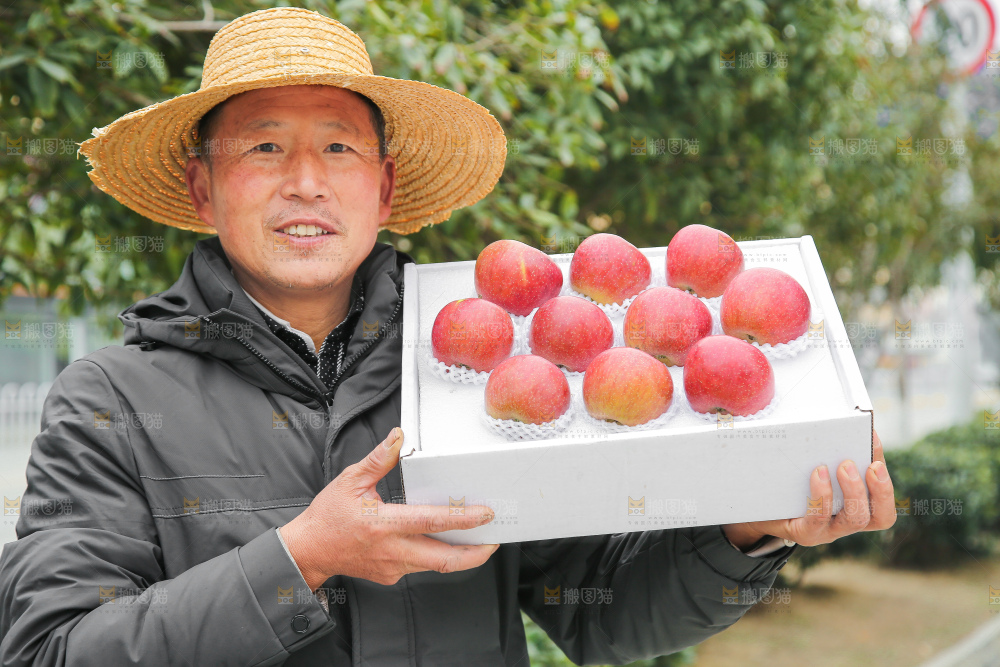手里拿着国光苹果