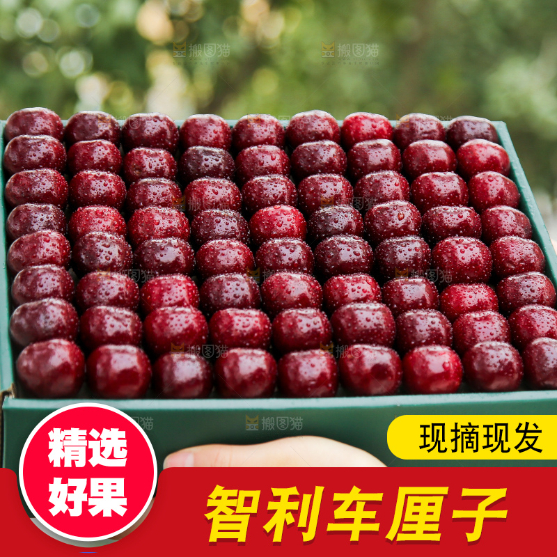 手里拿着智利车厘子