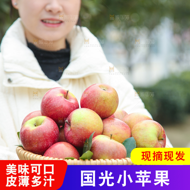手里拿着国光苹果