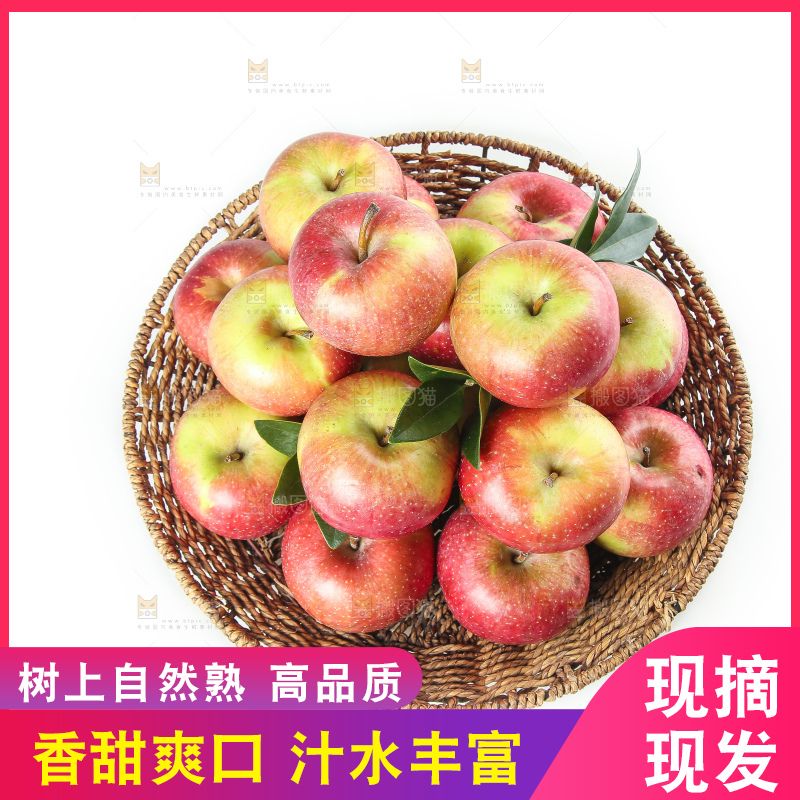 白底上的国光苹果