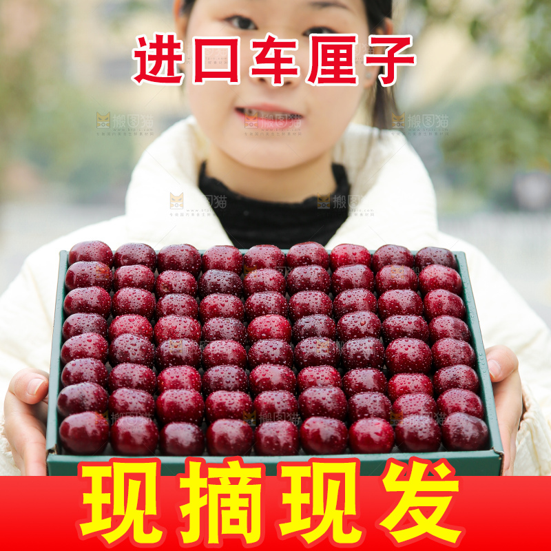 手里拿着智利车厘子