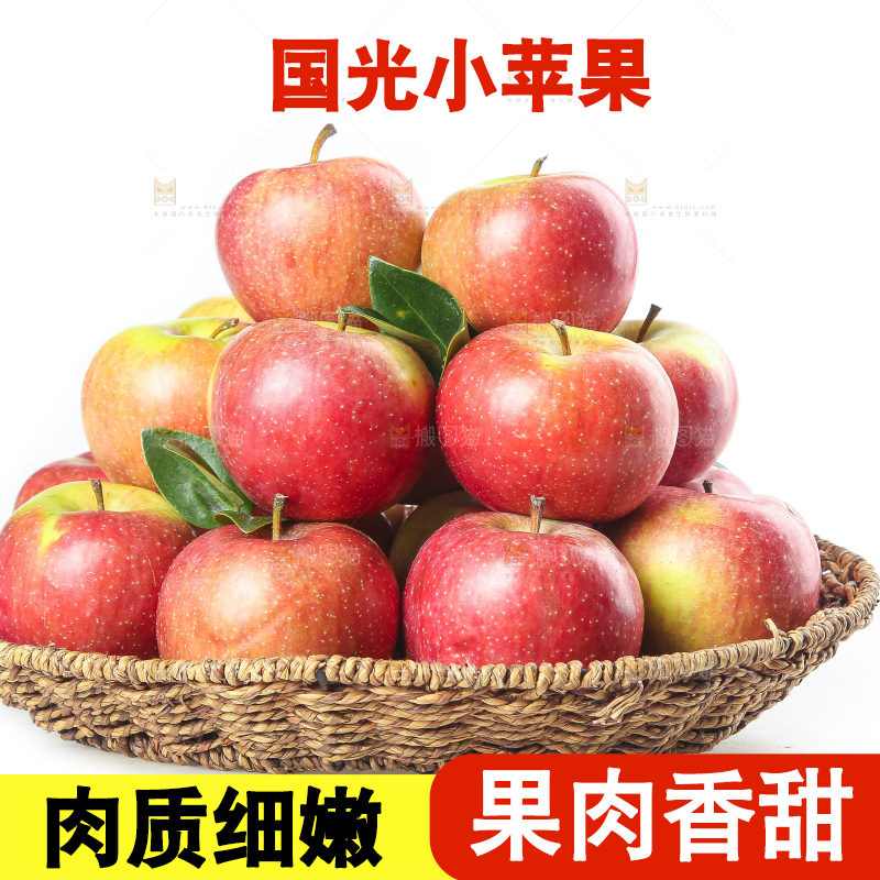 白底上的国光苹果