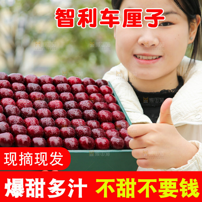 手里拿着智利车厘子