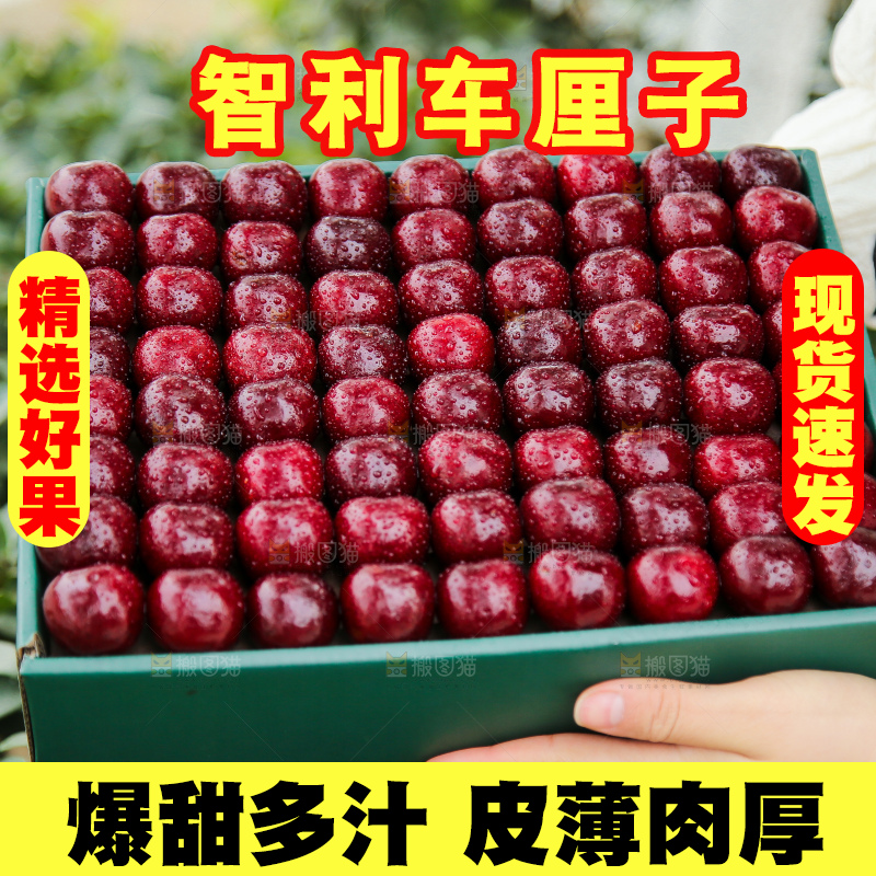 手里拿着智利车厘子