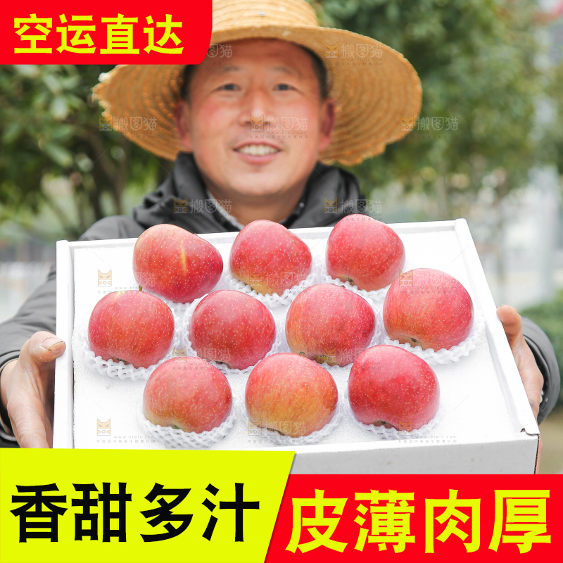 手里拿着国光苹果