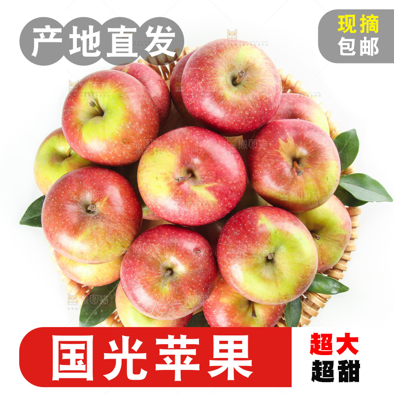 白底上的国光苹果
