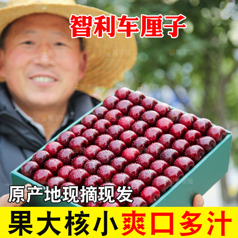 手里拿着智利车厘子