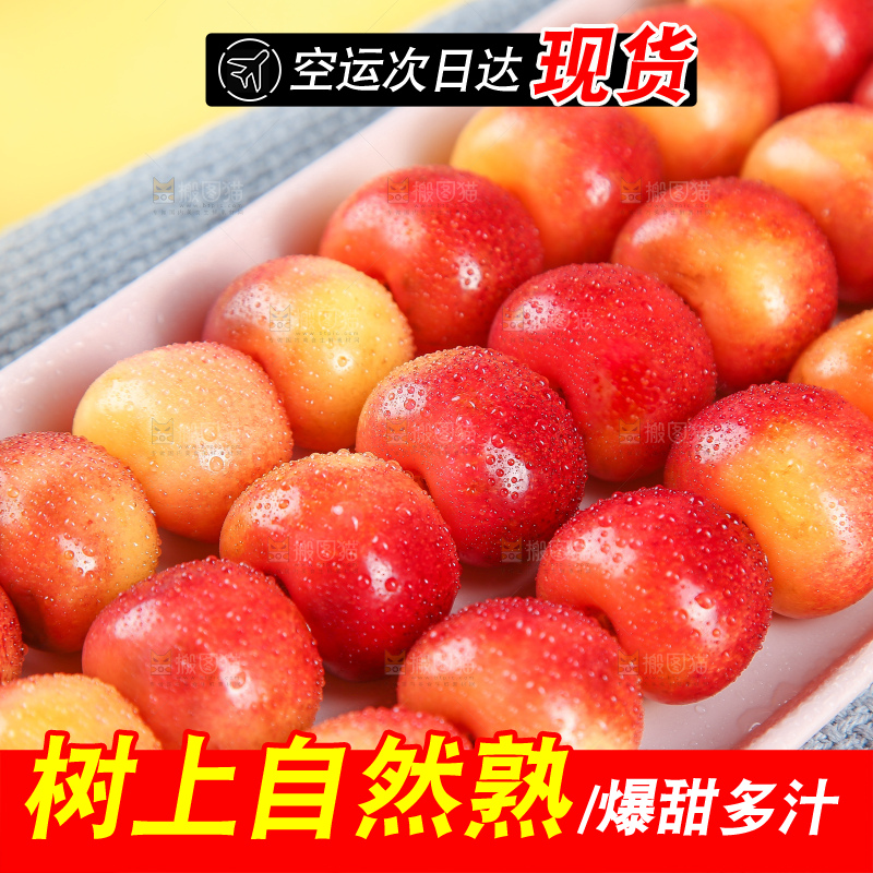 浅底上的黄金车厘子