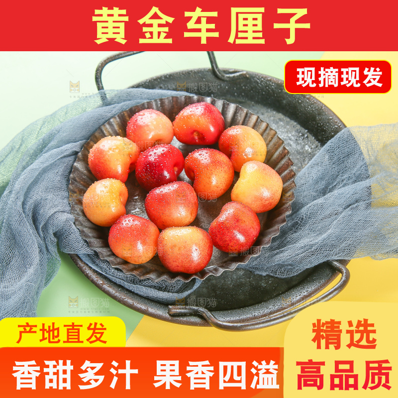 浅底上的黄金车厘子