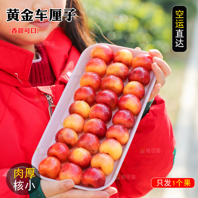 手里拿着黄金车厘子