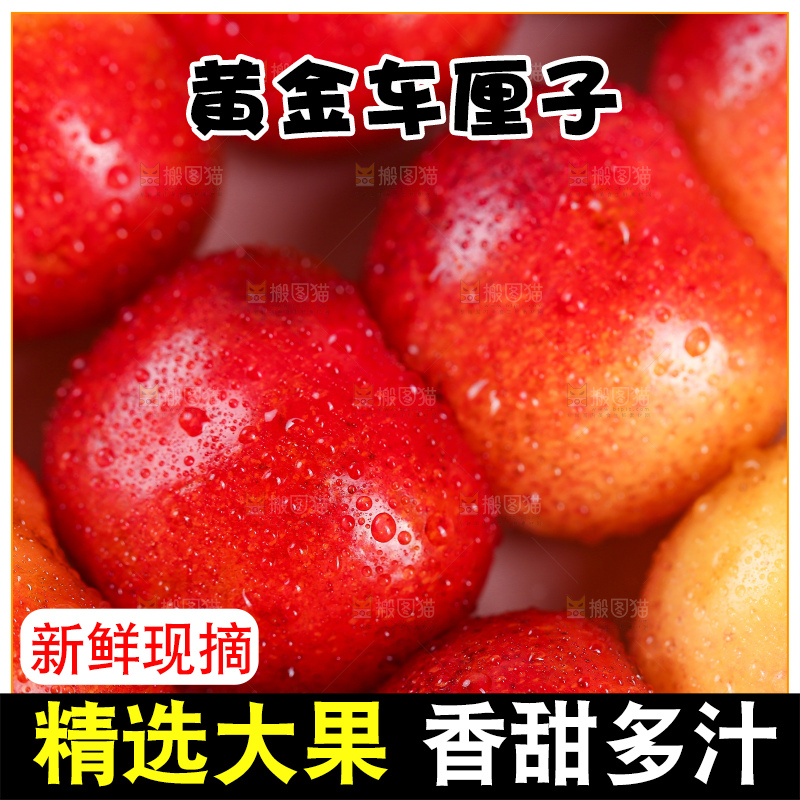 浅底上的黄金车厘子