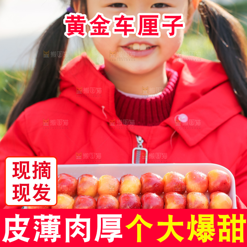 手里拿着黄金车厘子