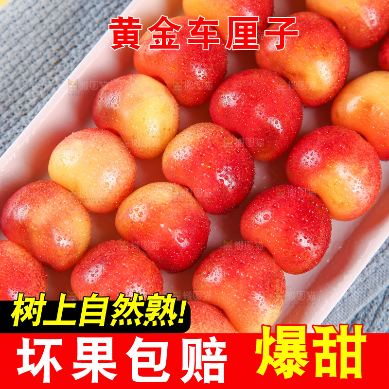 浅底上的黄金车厘子
