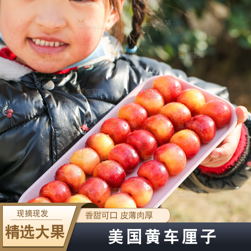 手里拿着黄金车厘子