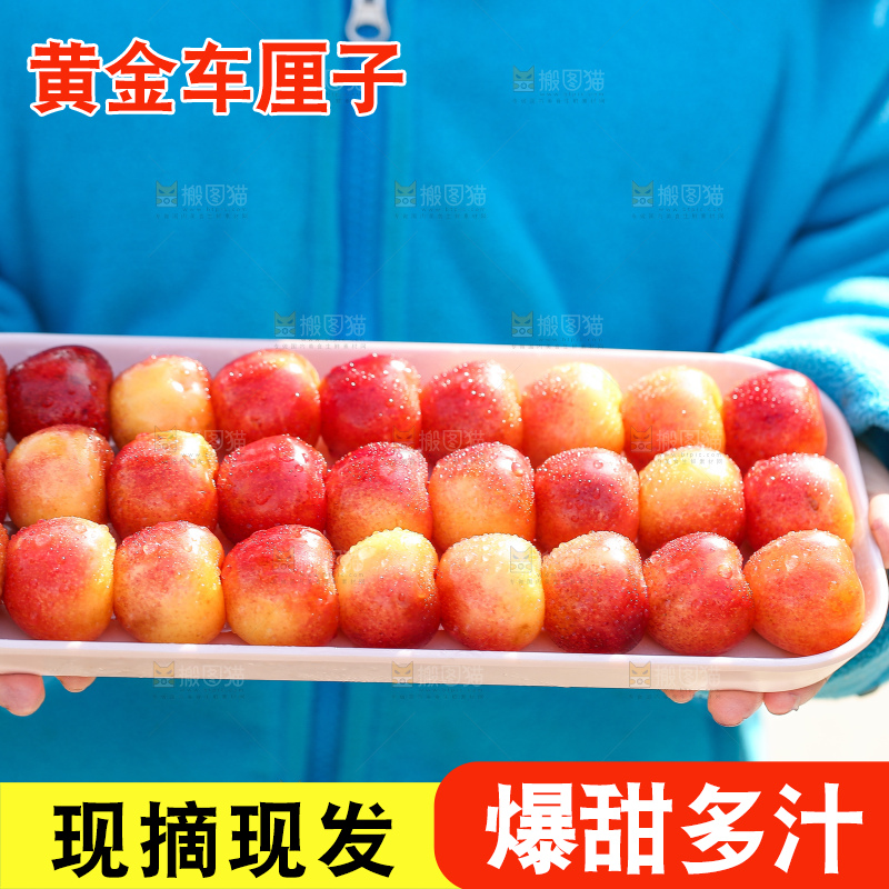 手里拿着黄金车厘子