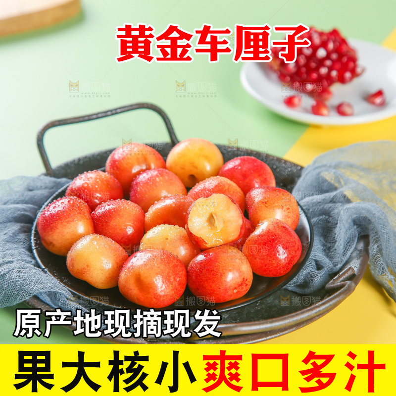 浅底上的黄金车厘子