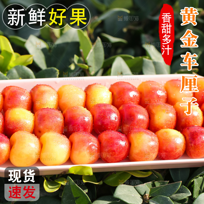 浅底上的黄金车厘子