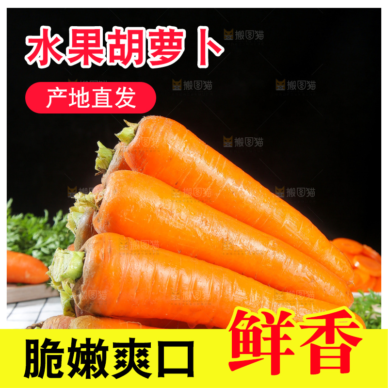 浅底上的胡萝卜