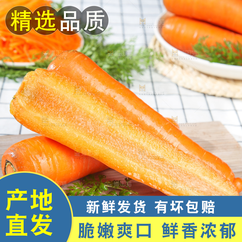 浅底上的胡萝卜