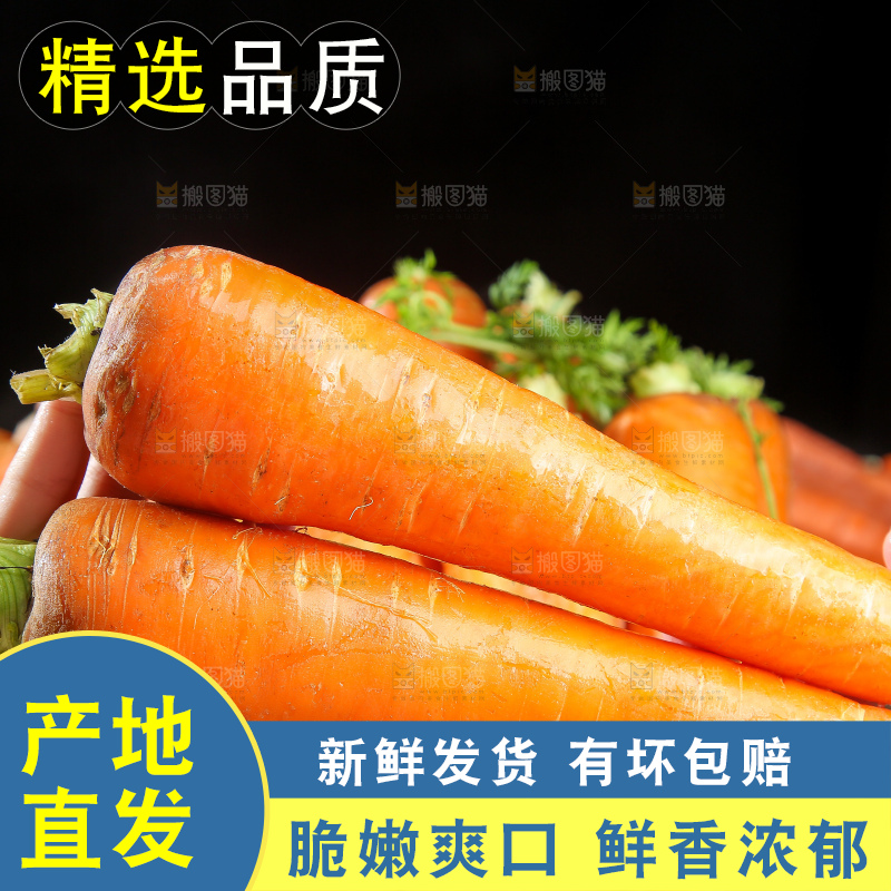浅底上的胡萝卜
