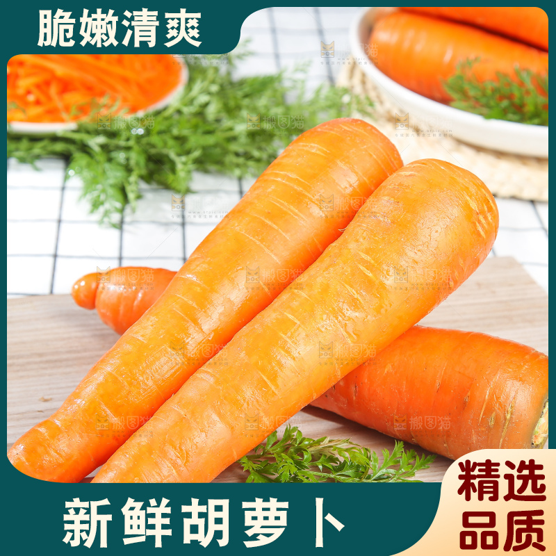 浅底上的胡萝卜