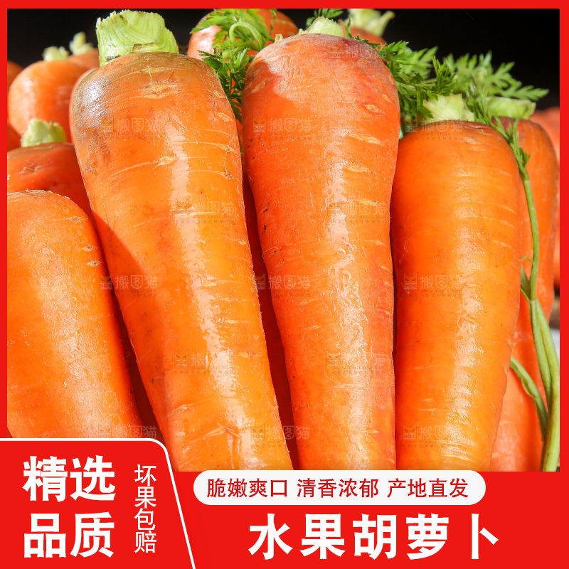 浅底上的胡萝卜