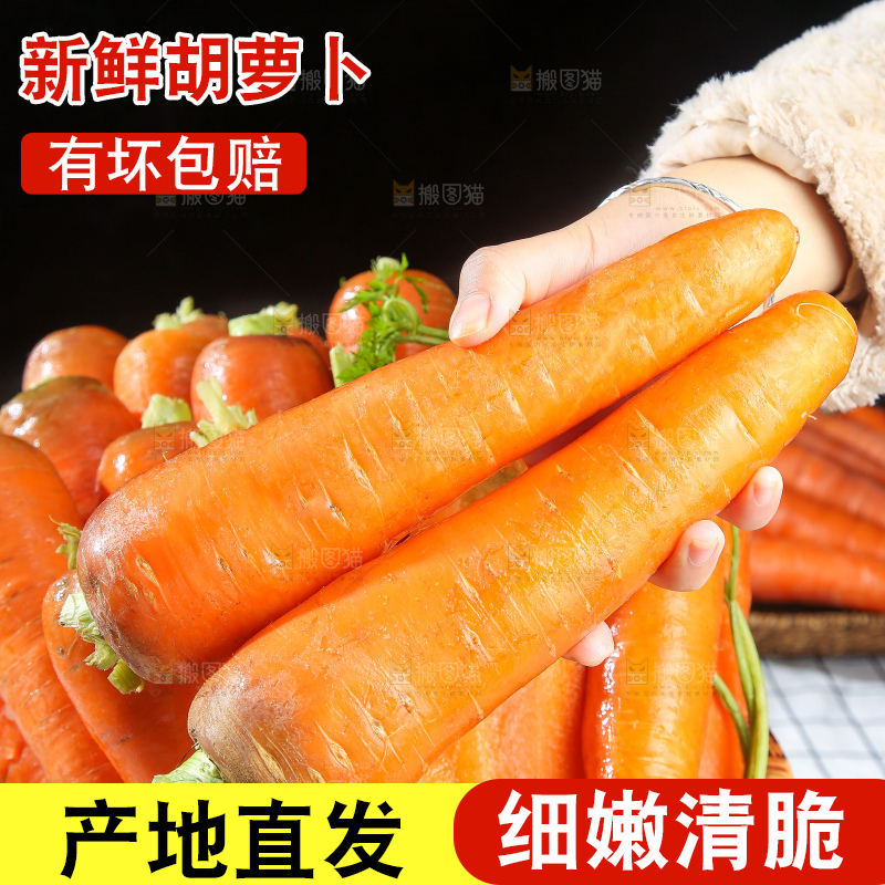 浅底上的胡萝卜