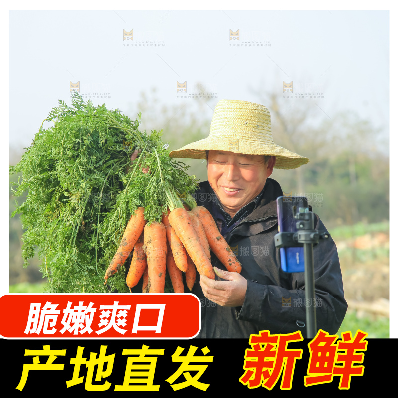 手里拿着胡萝卜