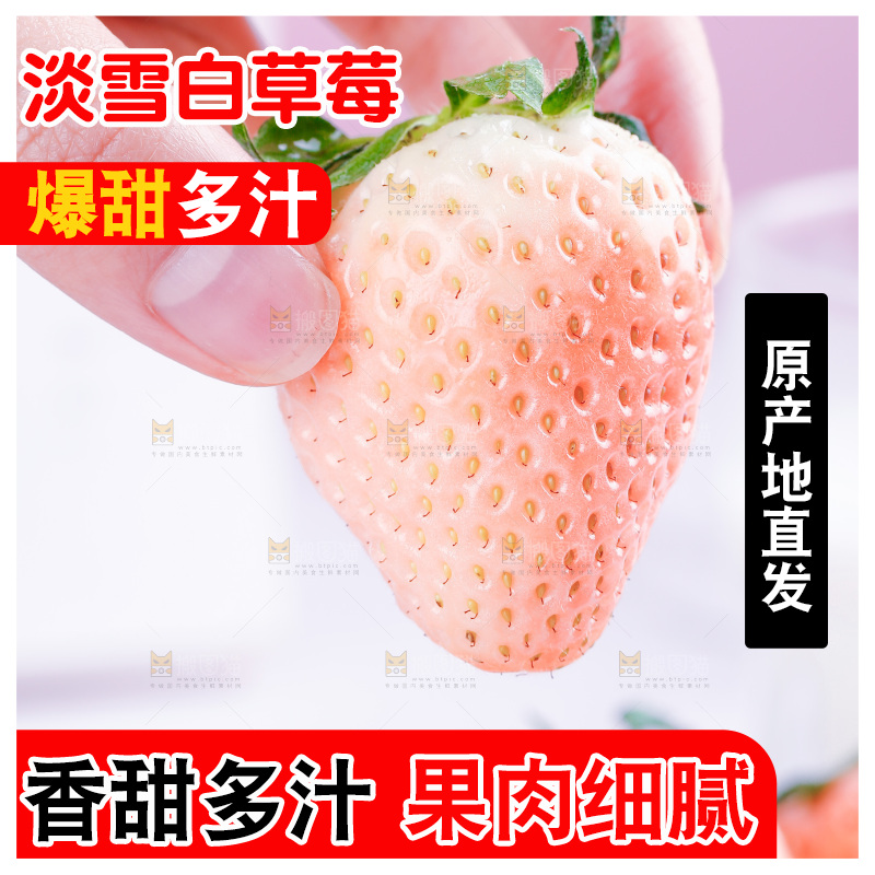 浅底上的淡雪草莓