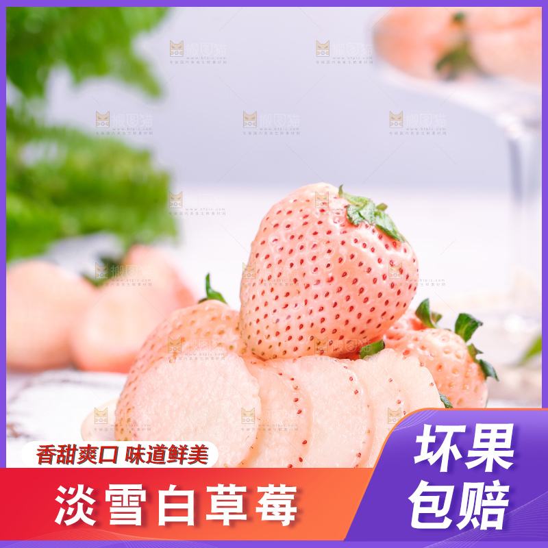 浅底上的淡雪草莓