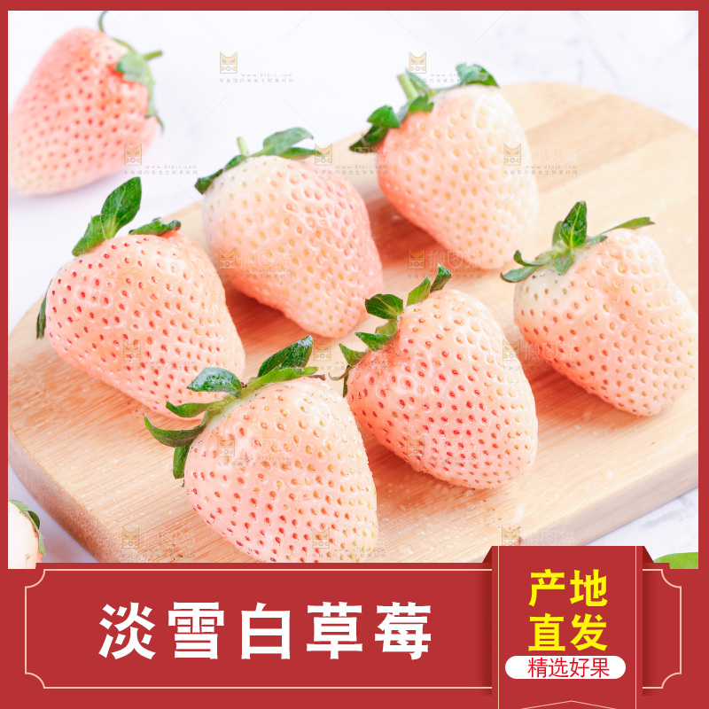 淡雪草莓主图