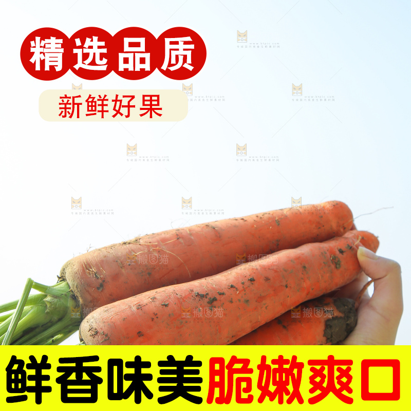 手里拿着胡萝卜