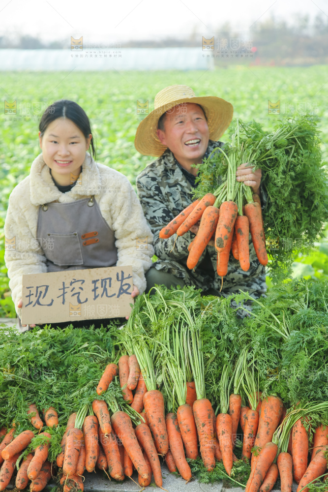 手里拿着胡萝卜